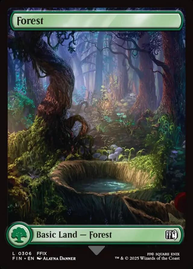 Forest image