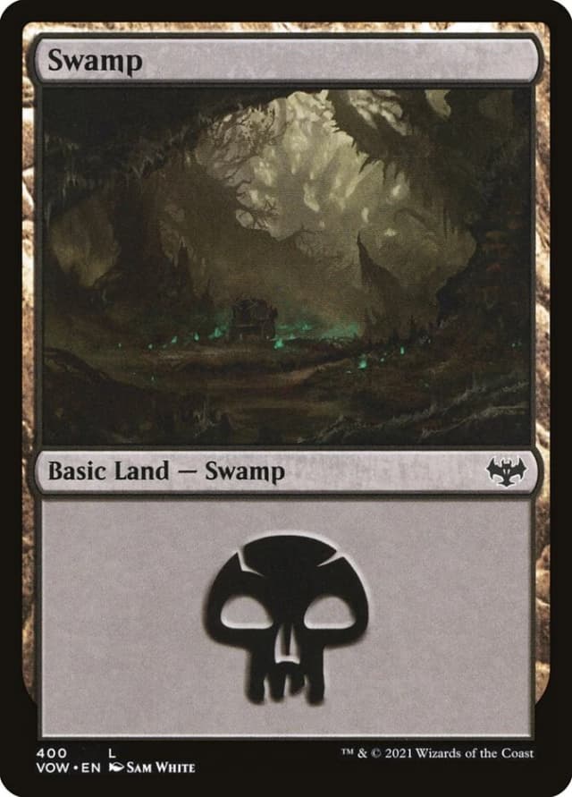 Swamp image