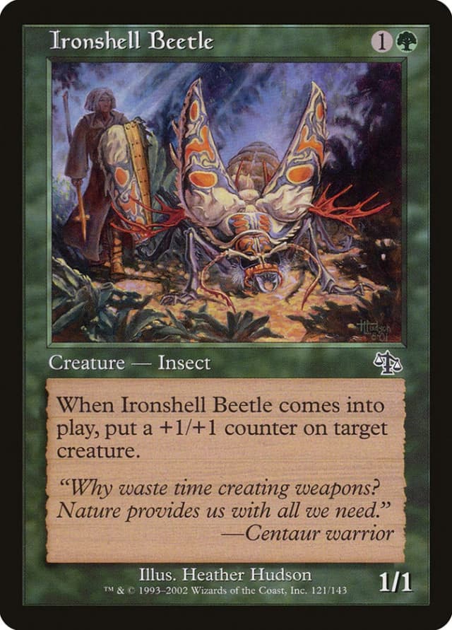Ironshell Beetle image