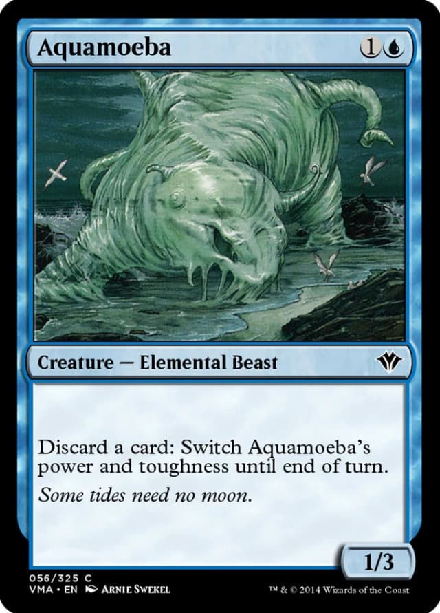 Aquamoeba image