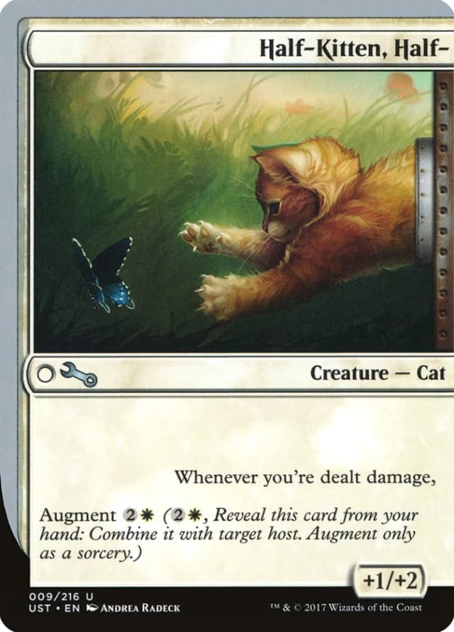 Half-Kitten, Half- image