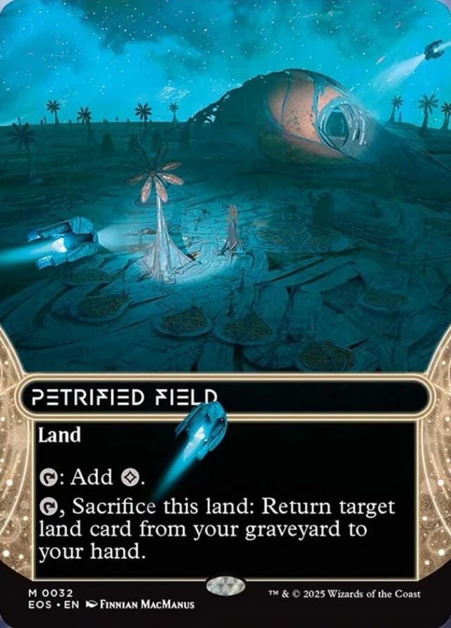 Petrified Field image