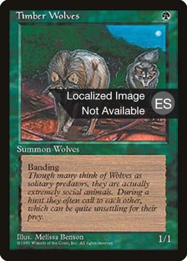Timber Wolves image