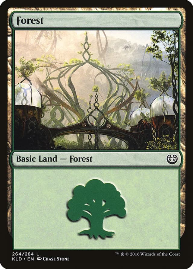 Forest image