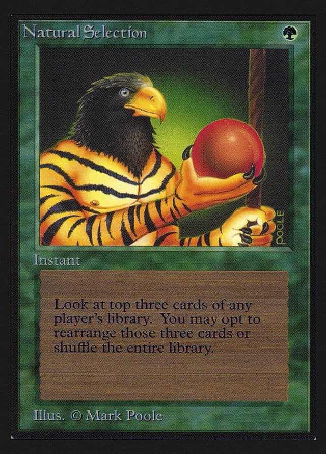 Natural Selection image
