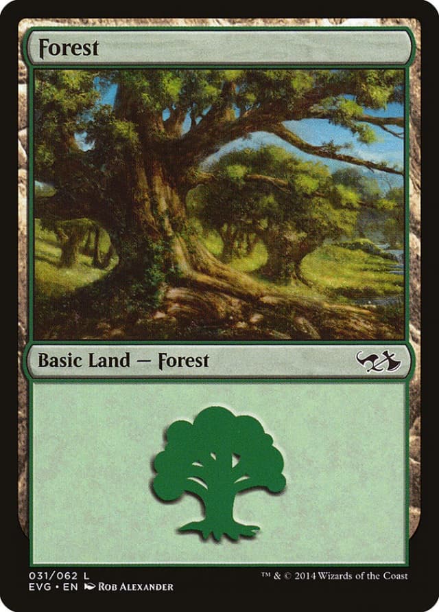 Forest image