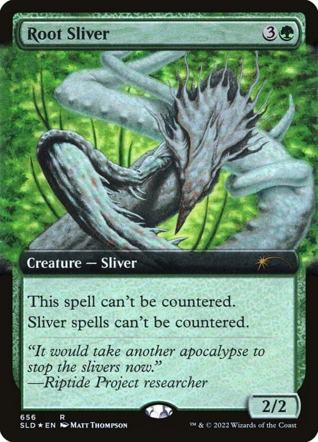 Root Sliver image
