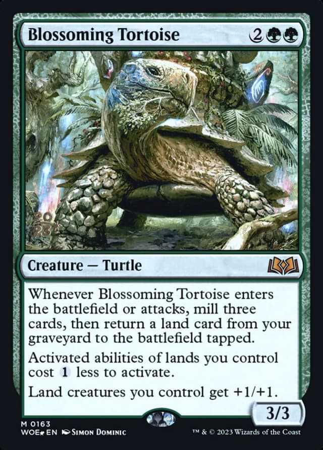 Blossoming Tortoise image