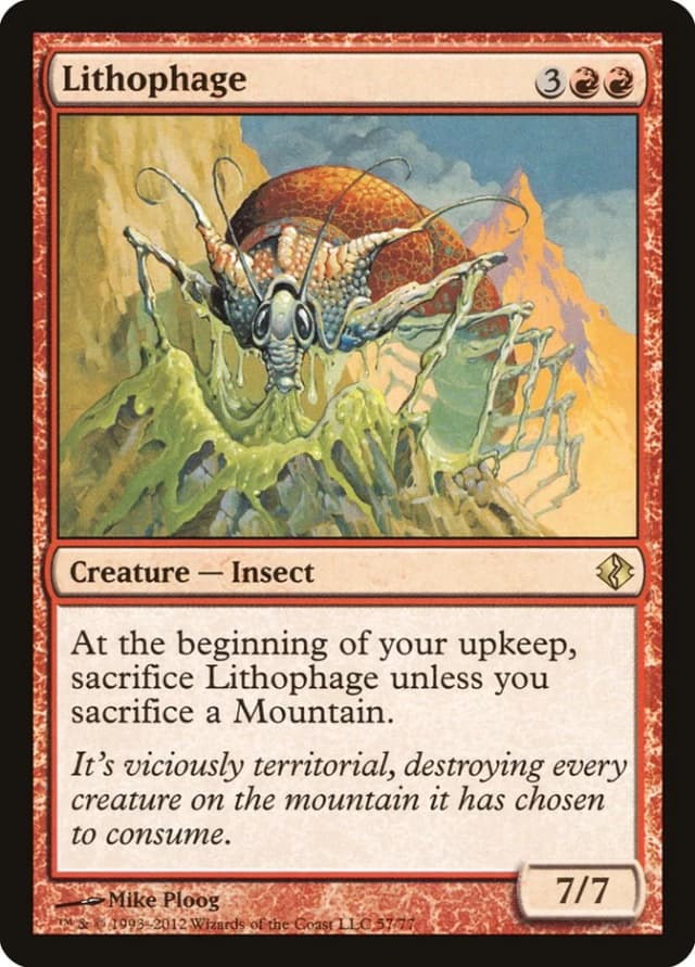 Lithophage image