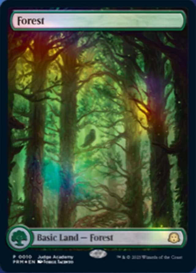 Forest image