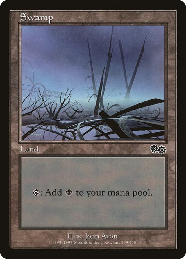 Swamp image