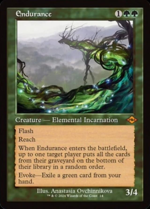 Endurance image