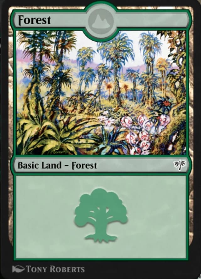 Forest image