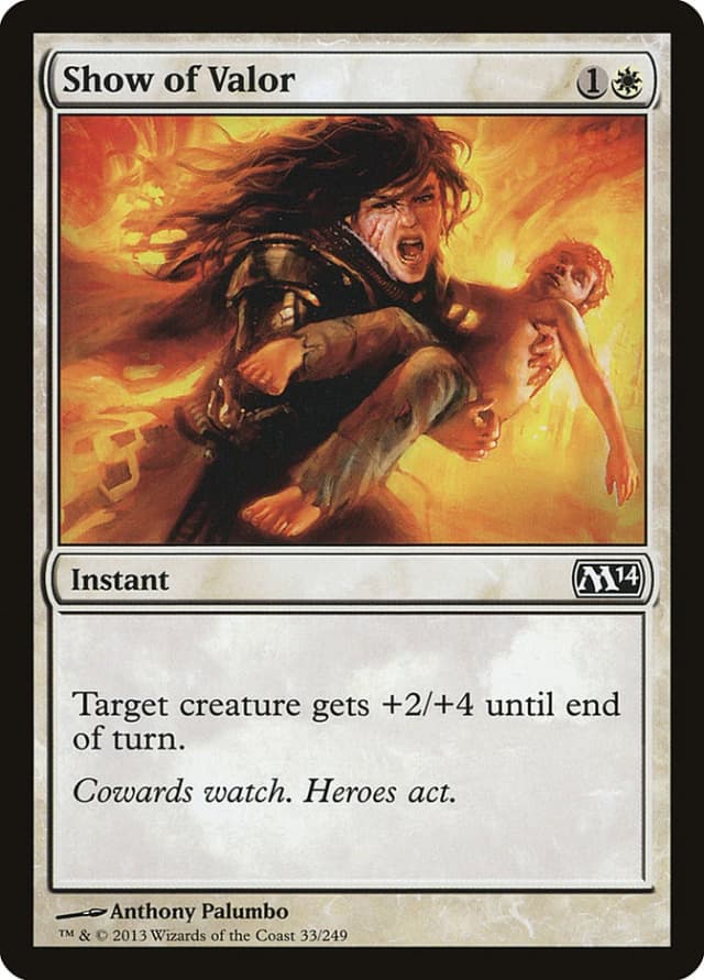 Show of Valor image