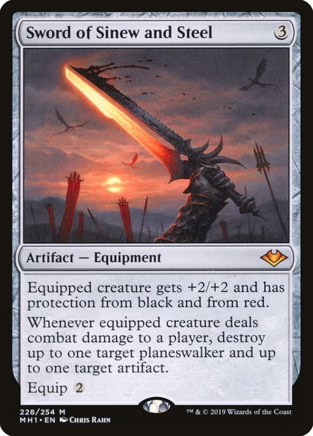 Sword of Sinew and Steel image
