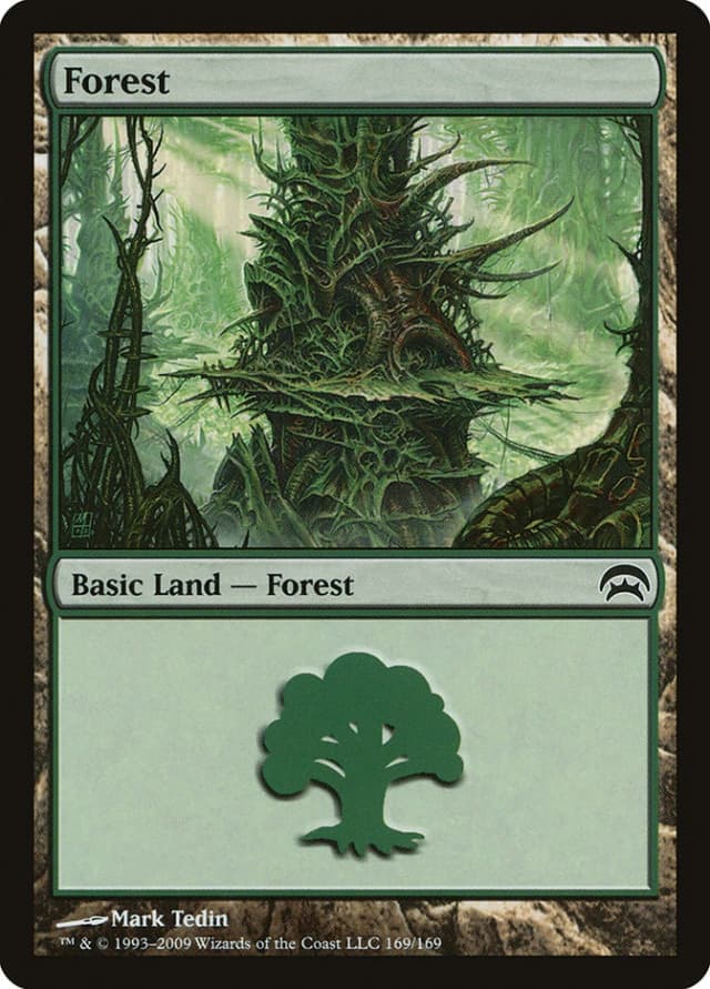 Forest image