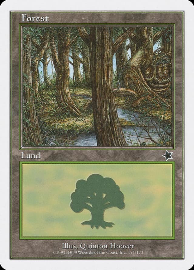 Forest image