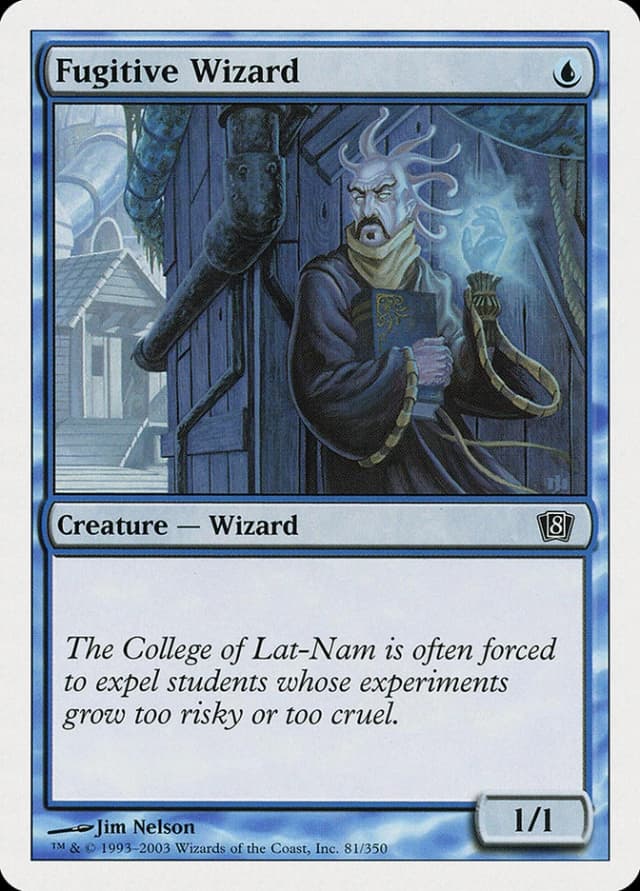 Fugitive Wizard image