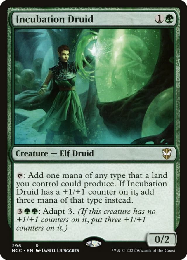 Incubation Druid image