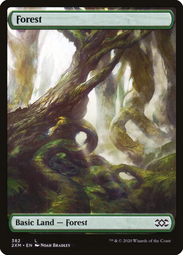 Forest image
