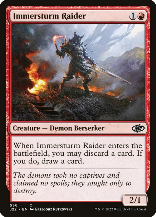 Immersturm Raider image