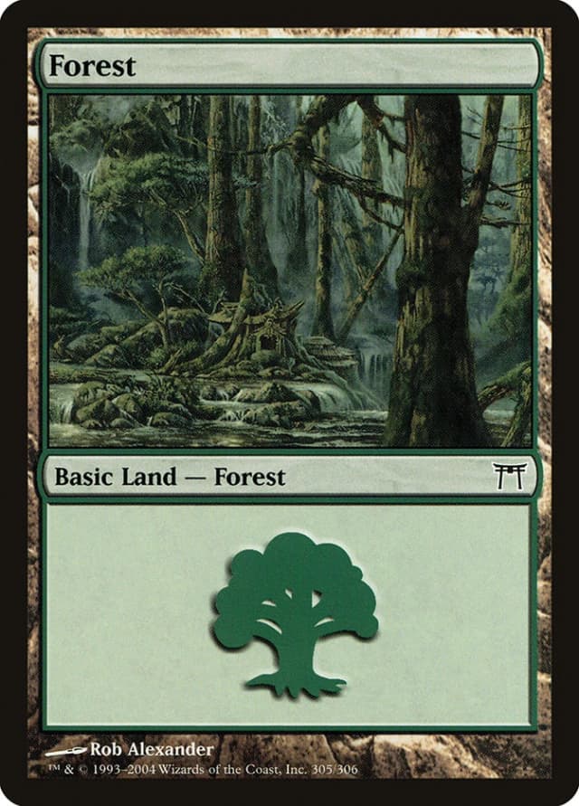 Forest image