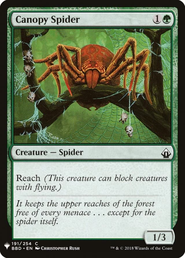 Canopy Spider image