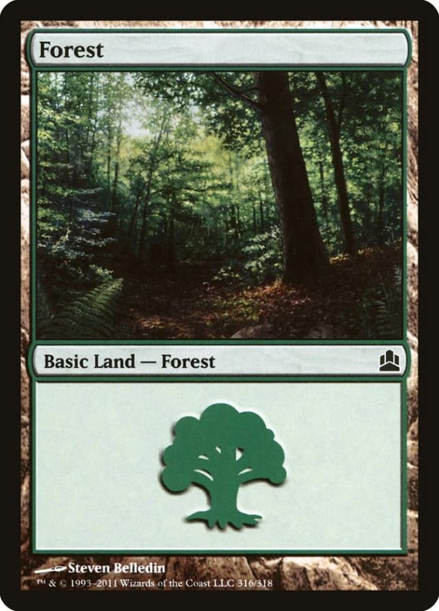 Forest image
