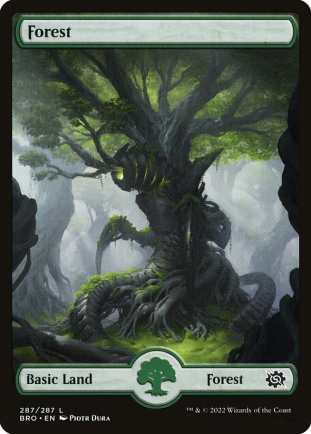 Forest image
