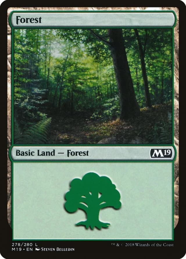 Forest image