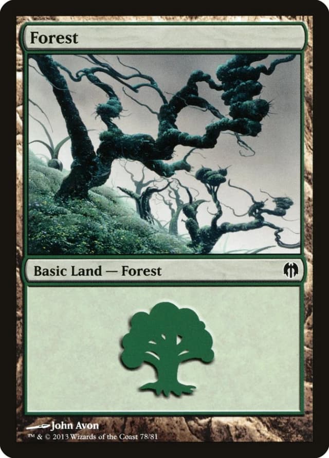 Forest image