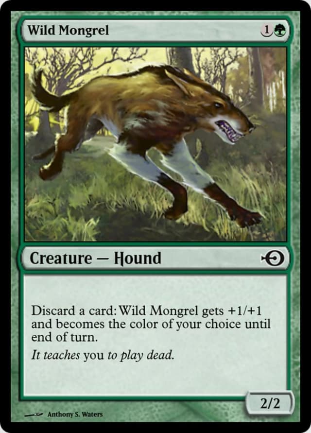Wild Mongrel image