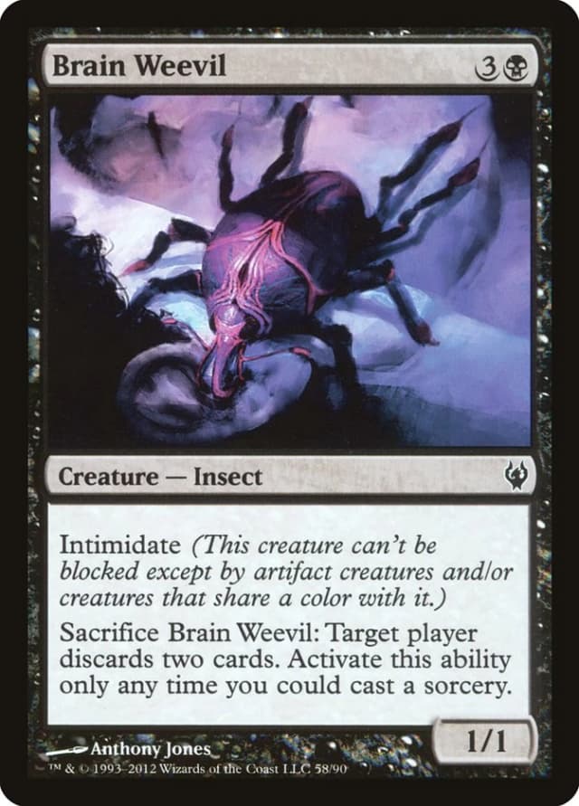 Brain Weevil image