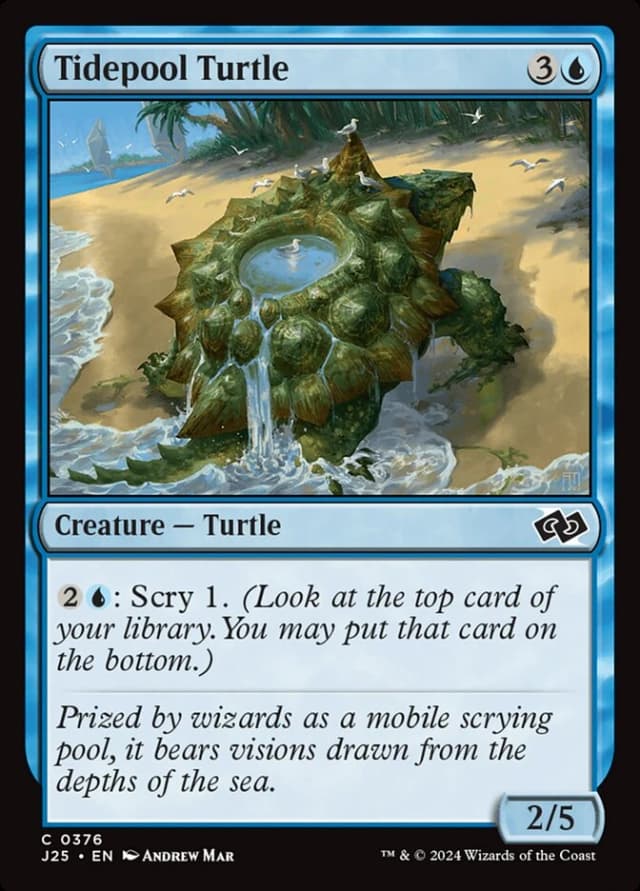 Tidepool Turtle image