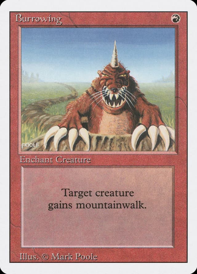 Burrowing image