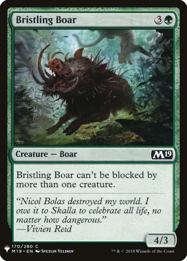 Bristling Boar image
