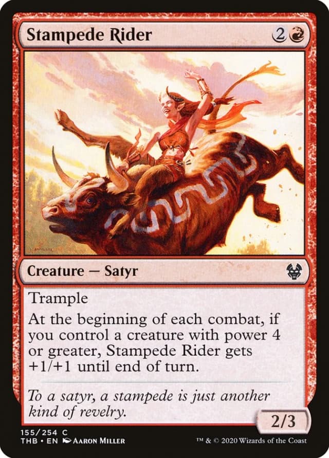Stampede Rider image