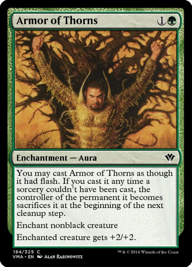 Armor of Thorns image