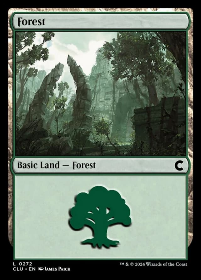 Forest image