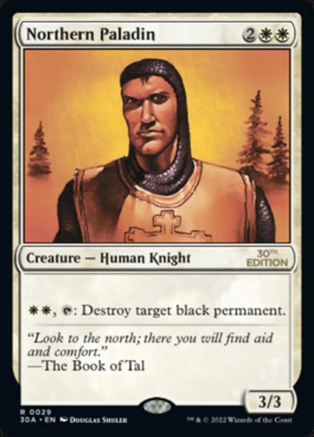 Northern Paladin image