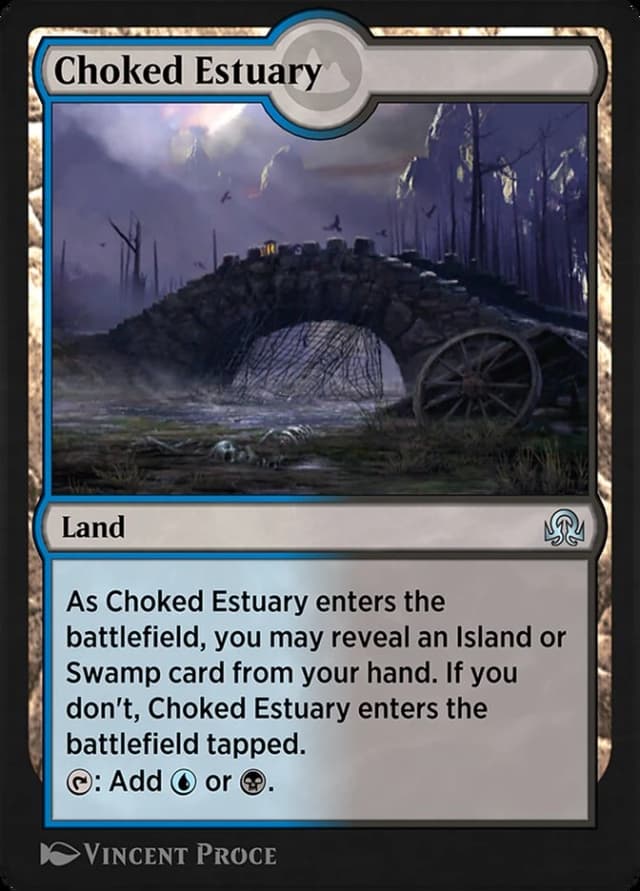 Choked Estuary image