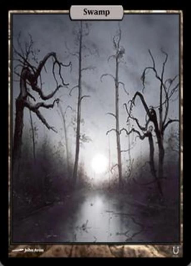 Swamp image