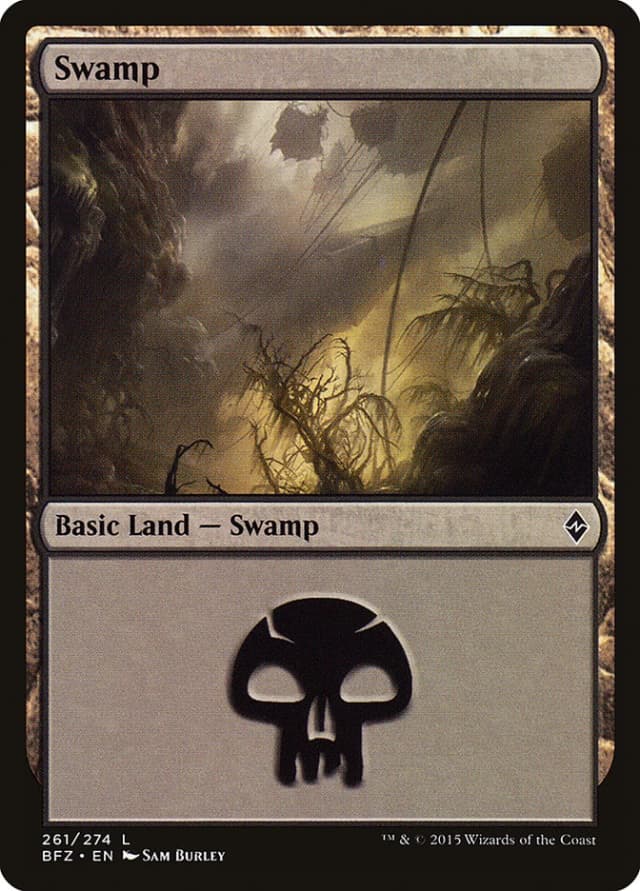 Swamp image