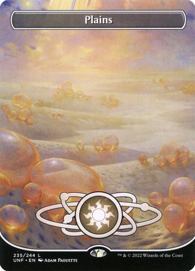Plains image