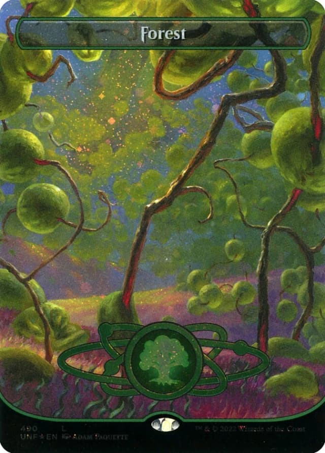 Forest image