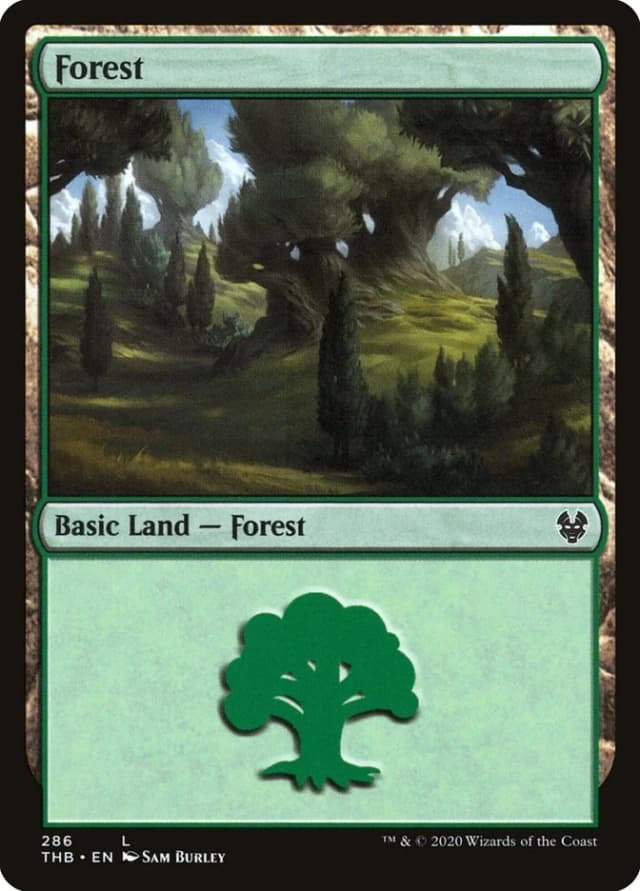 Forest image