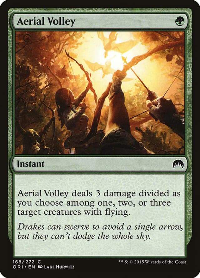 Aerial Volley image