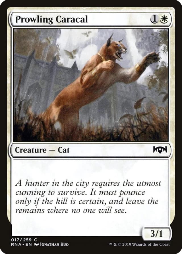 Prowling Caracal image