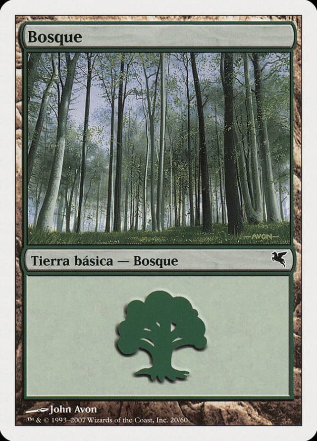 Forest image