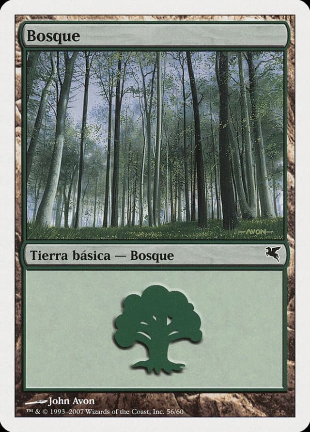 Forest image